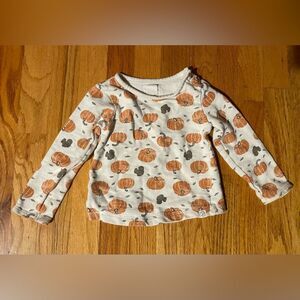 Carter’s Organic Cotton Pumpkin / Squirrel Long Sleeve Top Size 24 Months